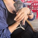 (주)몽스 | 투어말레이시아 쿠알라룸푸르 원데이투어 솔직후기 + 개인적으로 만족