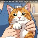CU 광주 만호점 | 고양이 만성 구내염 완치법: 광주 금호동물병원에서 잔존 치근 없이 전발치한 후기