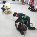 팀파이터주짓수킥복싱 네이버블로그