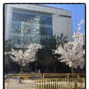 e편한세상 플레이마미어린이집
