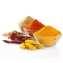 엘리트핏24 이미지