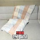 재현전기 | 프롬비 전기담요 후기｜허니베이지로 난방비 줄인 겨울필수템
