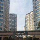 우림필유정문 이미지