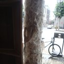 에이플러스 동물병원 이미지