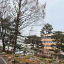 9988건강마트 이미지
