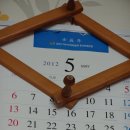 [아들과 대한민국 한바퀴 006] - 전남 완도군 금일도 해당화해변, 고흥 녹동항, 거금대교, 녹동터미널