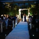 베스트 웨스턴 프리미어 강남호텔 이미지