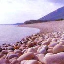 광무목장 이미지