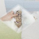 CU산청경호강점 | 산청 강아지분양 푸숑 알아볼수록 신뢰갔던 곳