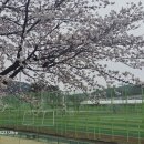 영강체육공원 테니스장 이미지