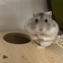 방배열린문화센터 이미지