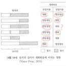 암기의 길이가 개화반응에 미치는 영향 이미지