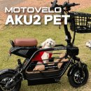 준 pet | 내돈내산 모토벨로 AKU2 PET 댕쿠터 후기 및 모델별 차이