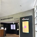 마이더스호텔 | 🌿 키즈프렌들리 마이다스 호텔 &amp; 리조트 투숙 후기