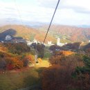 보광목장 이미지