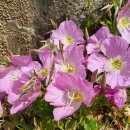 명문요양병원 이미지