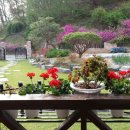 마리하우스 이미지