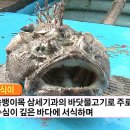 삼식이식당 이미지