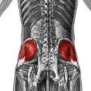 골반교정 필라테스 이미지