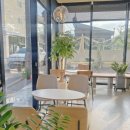 고색애견 이미지