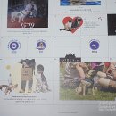 도그앤스토리 이미지