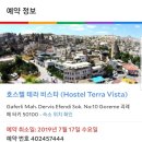 테라비스타 이미지