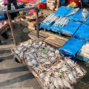 수산진명 이미지