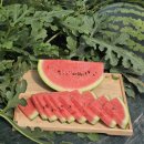 우곡농장 이미지