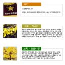 호성초등학교2 이미지