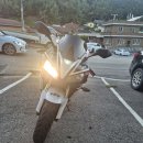 cbr1000rr 2006년 이미지