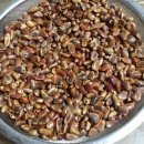 사람곡간 이미지