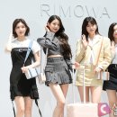 셀럽다이브