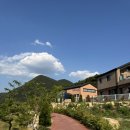 카페나비드 | 경북 영천 뷰 좋은 카페 나비드 후기