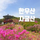 4월26일. 붉게 물든 철쭉ㆍ도깨비 숲 - 한우산ㆍ자굴산 이미지