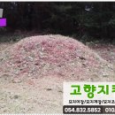 영천예초기