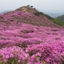 산상목장 네이버블로그
