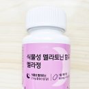 뮤시아