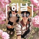 미사경정공원 | 하남 미사 경정공원 겹벚꽃 후기 봄 나들이로 딱 좋은 장소