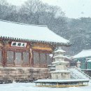 덕산도립공원 수덕사 주차장 | 수덕사·덕숭산 숲길 겨울 트레킹, 내포문화숲길에서 만나는 고요한 산책