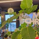 커피랩 지앤지점 이미지