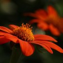 프루지오 세탁소 이미지