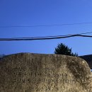 벌떼쉼터 | 4월 금백종주 완주후기 양산계석마을에서 개림초 하산코스.