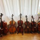 (1:1레슨)첼로 개인레슨(30분) 이미지