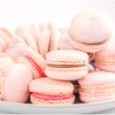 마카롱 이미지