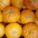 만이농장 이미지