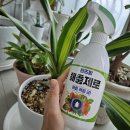 무진팜오일 주식회사 | 가정원예 해충기피제 핸즈팜 해충제로