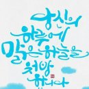 참사랑안경 이미지