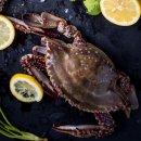 조은수산 | 🦀 꽃게 풍년이 왔어요! 참조은수산 제철 활꽃게 솔직 후기! ✨