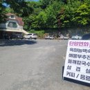 단양연화 이미지