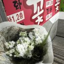 임신기록 28주 만삭사진촬영 야외스냅 장소 시기 소품 준비물 의상 내돈내산 후기